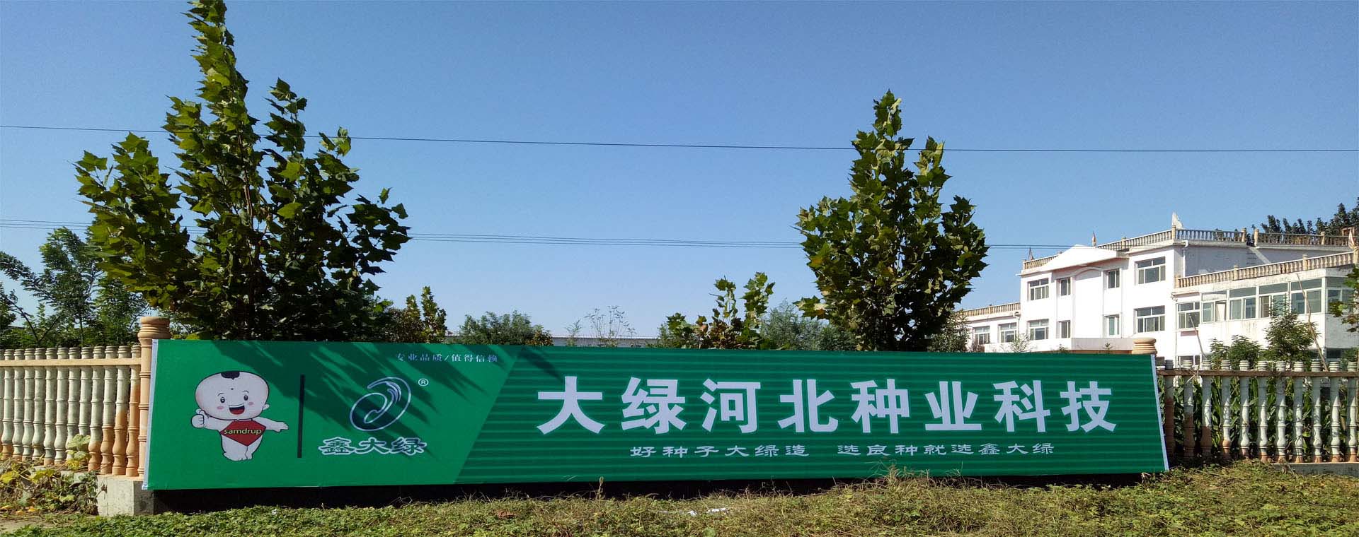 企業(yè)文化