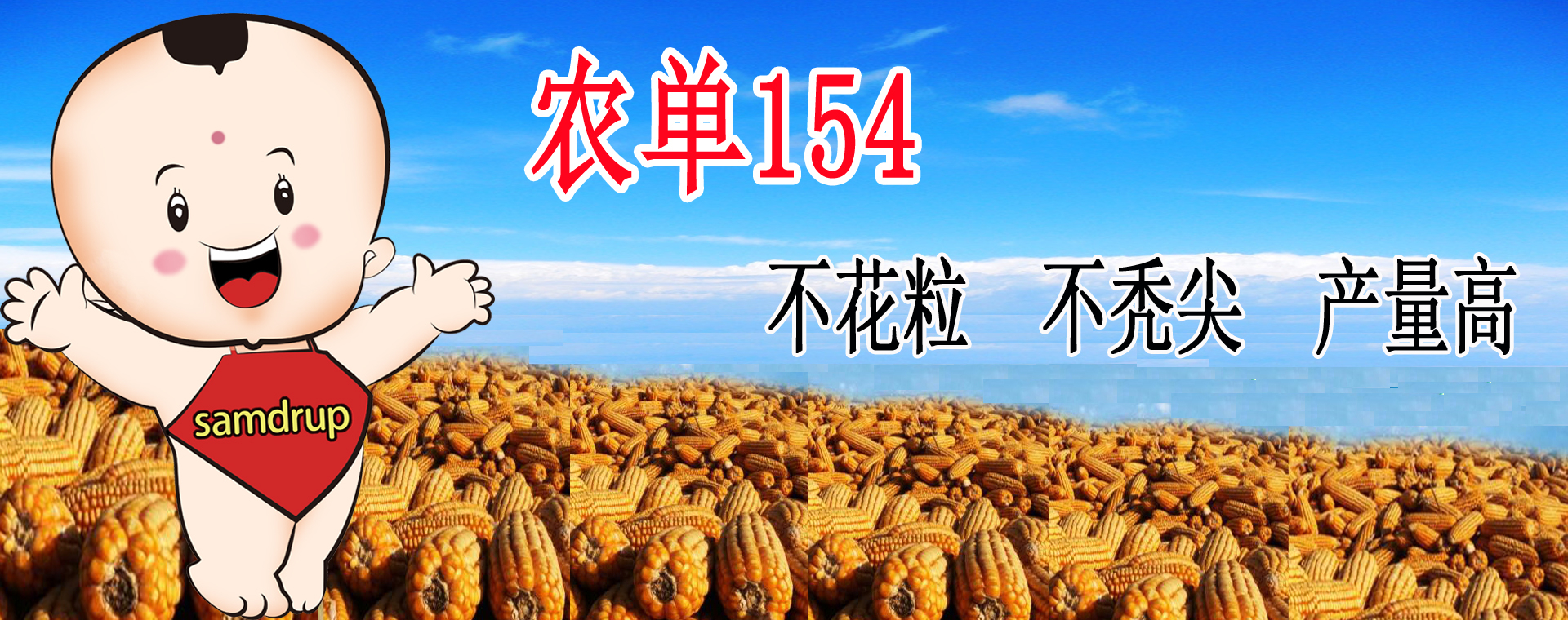 產(chǎn)品展示